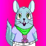 Chinchilla Dress up
