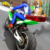 Motorcycle Pet Delivery