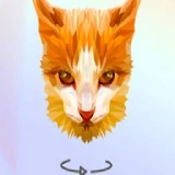 Poly Art - 3D Art Puzzle Game