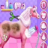 Princess Horse Caring