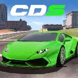 Racing Car Dual Control