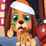 Stray Puppy Pet Care