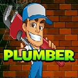 The Plumber
